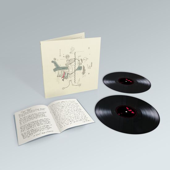 Tiny Changes Double LP